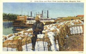 Levee Scene & Water Front - Memphis, Tennessee TN  