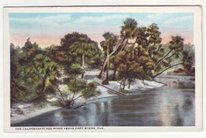 P353 JL,s old postcard ft myers fla caloosahatchee river unused