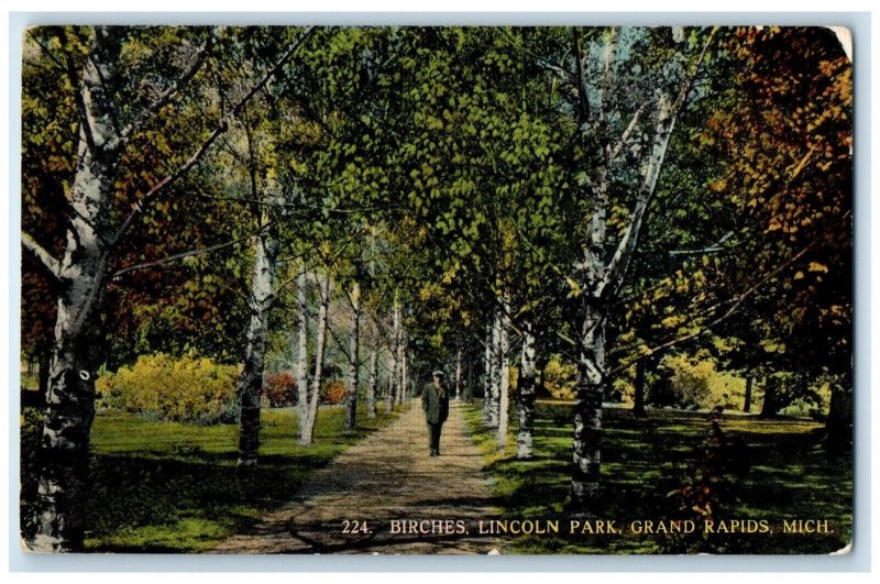 c1910 Birches Lincoln Park Trees Grand Rapids Michigan Vintage Antique Postcard