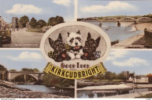 KIRKCUDBRIGHT , Scotland , 1920-30s ; 4 view Postcard , Scottie dogs #2