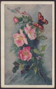Roses Butterflies Postcard