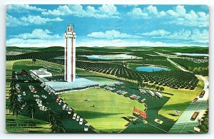 1962 CLERMONT FLORIDA CITRUS OBSERVATION TOWER HWY 27 KOPPEL POSTCARD P3471