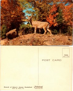 Monarch of Nature's Autumn (23746