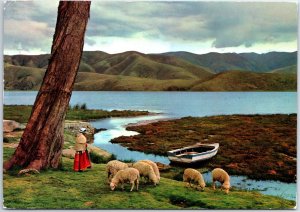 VINTAGE CONTINENTAL SIZED POSTCARD SHEEP AT PACA LAKE NEAR JAUJA PERU POSTED '75