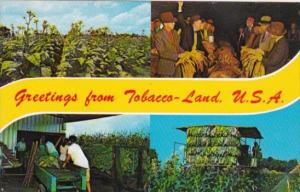 Greetings From Tobacco Land U S A