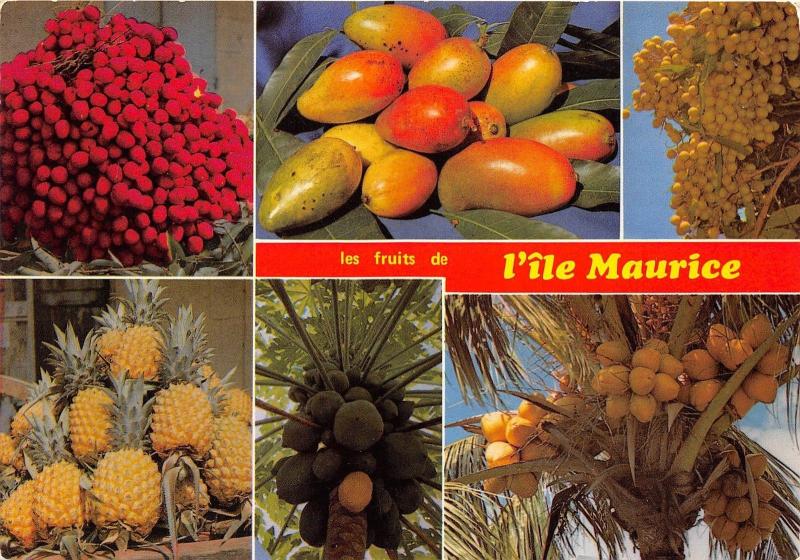 BG21241 mauritius ile maurice les fruits