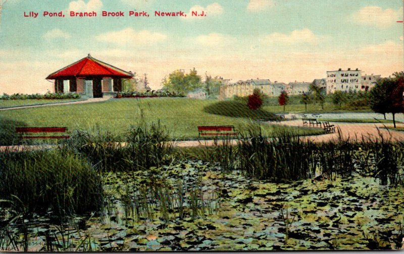 New Jersey Newark Branch Brook Park The Lily Pond 1909