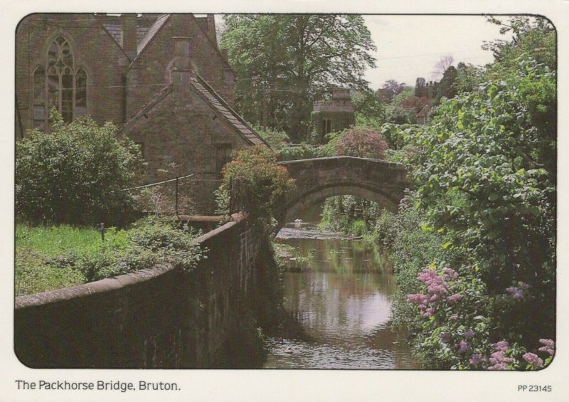 Somerset Postcard - The Packhorse Bridge, Bruton    RR8625