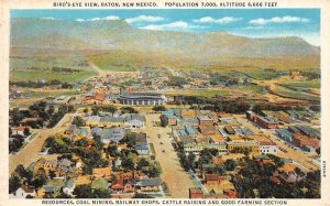 Raton New Mexico birds eye of the town district vintage pc DD7355