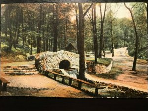 Vintage Postcard 1907 Mineral Springs Park Reading Pennsylvania