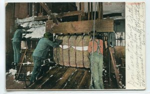 Working Cotton Compress Factory Industry 1908 postcard