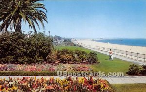 Bluff Park - Long Beach, CA