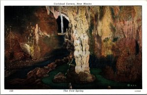 USA Carlsbad Cavern New Mexico The First Spring Linen Postcard C002