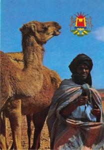 BF39551 types morocco   camel chameau  animal animaux