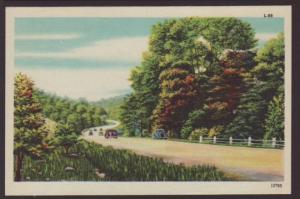 Road Scene in Fall Postcard 