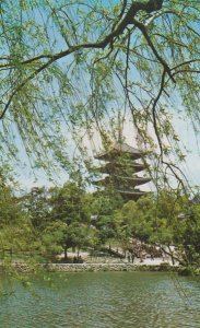 Sarusawa Pond Nara Pagoda Japan Japanese Postcard