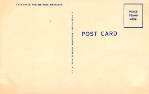 Cat Comic Cat Postcard