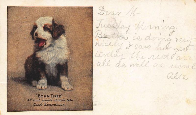 Hood's Sarsaparilla Born Free Dog 1909 Advertising Postcard