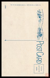 Strawberries Growing in Florida