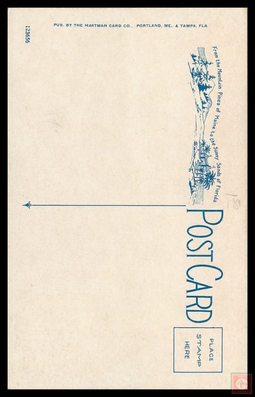 Strawberries Growing in Florida