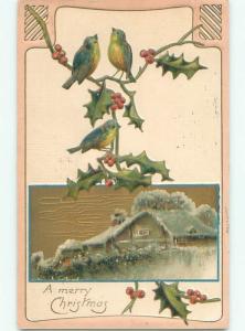 Divided-Back CHRISTMAS BIRDS SCENE Pretty Postcard W8579