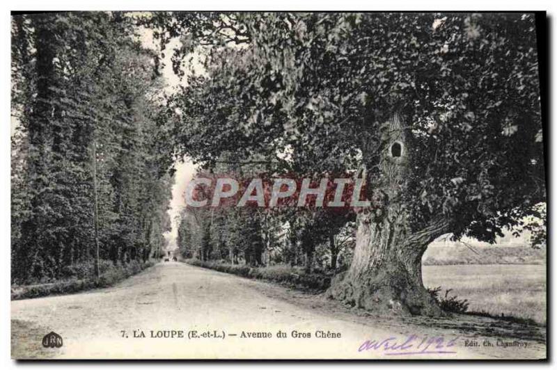 Old Postcard La Loupe Avenue Gros Chene