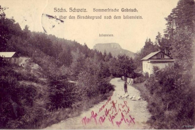 SACHS. SCHWEIZ  SOMMERFRISCHE GOHRISCH GERMANY