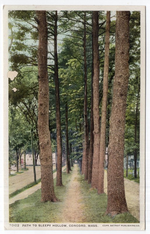 Concord, Mass, Path To Sleepy Hollow