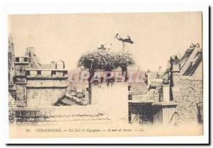 Strasbourg Old Postcard A stork's nest (storks)