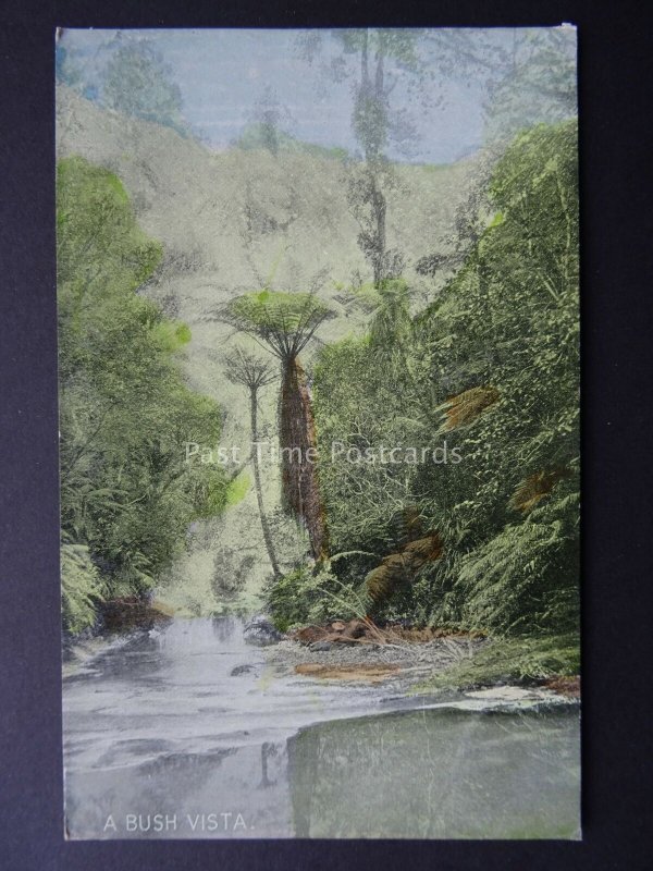 Australia A BUSH VISTA Our Beautiful Bush c1904 Postcard by Harding & Billings