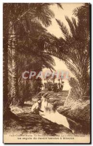 Old Postcard The Seguia of Landon garden Biskra