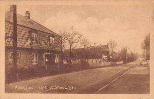 Rungsted Denmark Strandvejen Street Scene Antique Postcard J80685