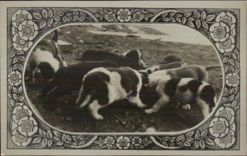 Puppy Dogs Eating c1910 Real Photo Postcard