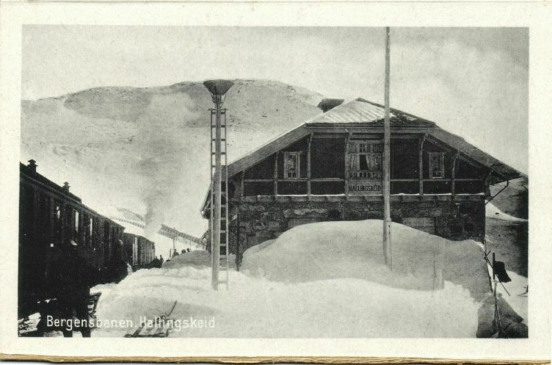 norway norge, HALLINGSKEID, Bergensbanen, Railway Station Train (1920s) Postcard