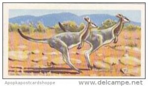 Brooke Bond Vintage Trade Card Wildlife In Danger 1963 No 3 Bridle Nail-Taile...