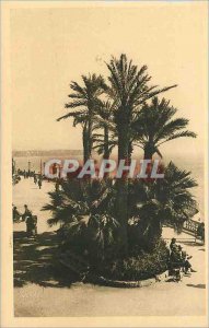 Old Postcard Monte Carlo Principality of Monaco La Terrasse du Casino and Cap...