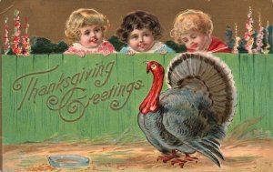 1909 Thanksgiving Greetings Children Watching Turkey Embossed Vintage Postcard