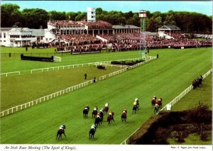 Ireland, IRISH RACE MEETING Horse Racing~Track~Grandstands  4X6 Sports Postcard