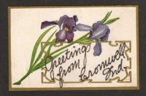 IN Greetings from CROMWELL INDIANA Postcard PC Irises