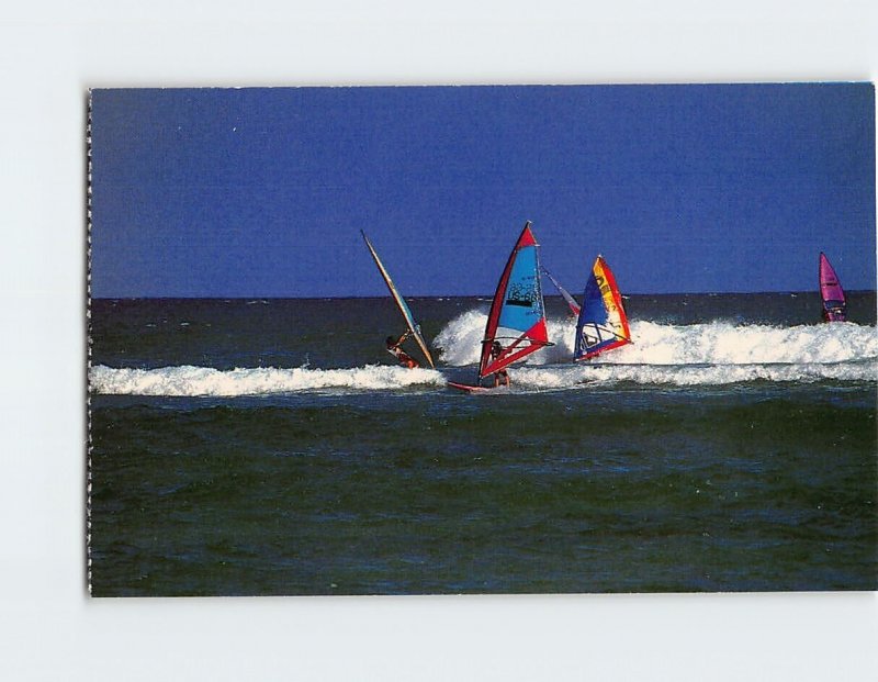 Postcard Windsurfing In Hawaii