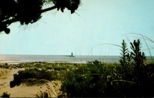 Delaware Greetings From Cape Henl;open Harbor Refuge Lighthouse