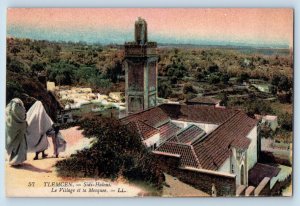 Tlemcen Algeria Postcard Village and Sidi El Haloui Mosquee c1910 Unposted