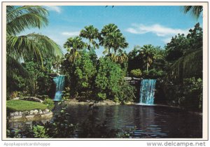 Bahamas Freeport Garden Of The Groves