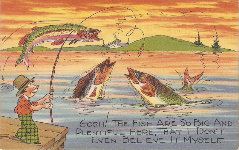 Fishing Humour Lot of three (3) old vintage American postcards