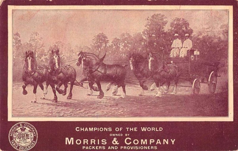 Morris and Co Draft Horses Champions of the World Vintage Postcard AA50294