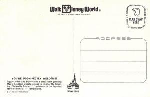 Early Walt Disney World, WDW-1603, Tigger, Pooh and Eeyore,Vintage Postcard