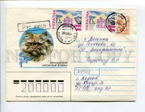413439 UKRAINE to RUSSIA 1996 Usova Persian cream cat air mail real posted cover