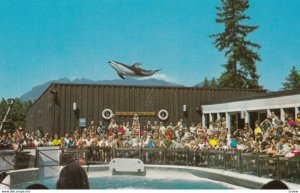 VANCOUVER , B.C. , Canada , 1950-60s Dolphin Show