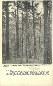 Among the Pines - Hinsdale, New Hampshire NH  