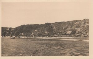 Germany Postcard - Vineyard on The Rhine    T10534